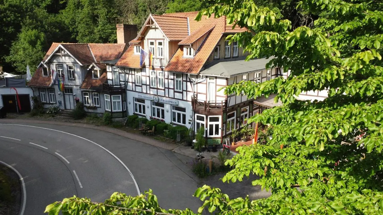 7 Zentrale Hotels nahe Hexentanzplatz/Thale für Ihren Harz-Aufenthalt